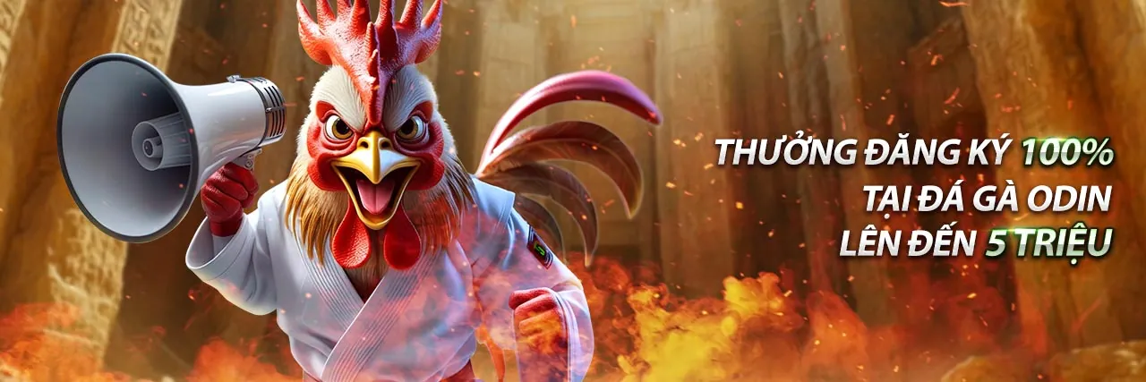 Hình ảnh lịch sử về đá gà truyền thống